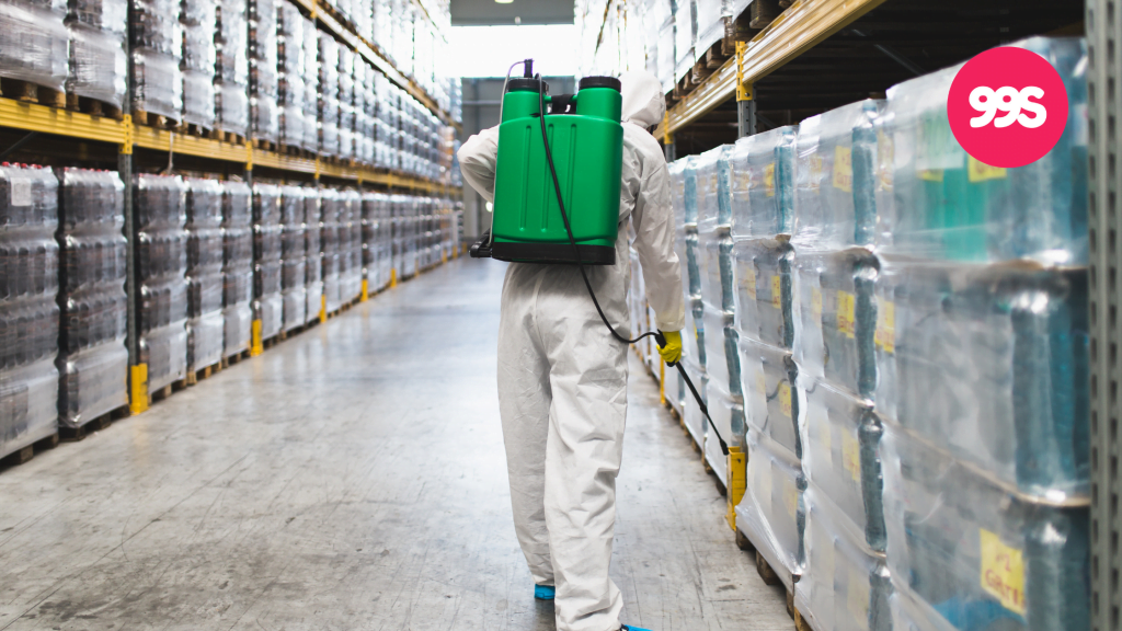 Social media post ideas for pest control companies